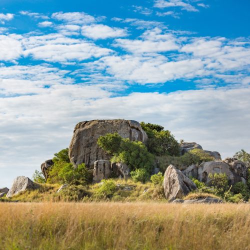 Beautiful view of Serengeti landscape under a cloudy sky